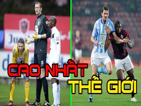 Top 5 cầu thủ cao nhất thế giới cầu thủ cao nhất thế giới