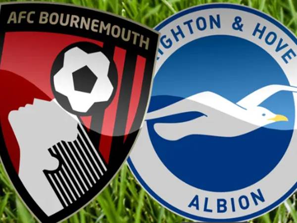 Lịch sử đối đầu Brighton vs Bournemouth: Những trận đấu kịch tính