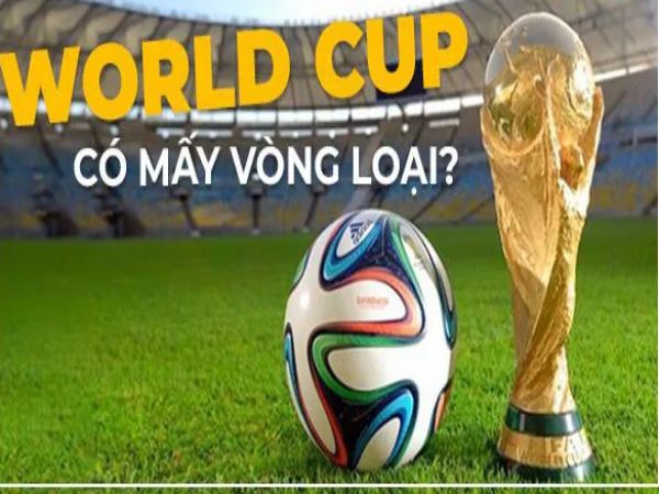 Có bao nhiêu vòng loại World Cup? Giải đáp thắc mắc chi tiết