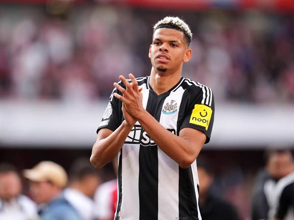 Tin Newcastle 26/9: William Osula trở thành chân sút hàng đầu
